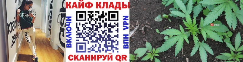 Цена Ува Псилоцибиновые грибы  СК  COCAIN  Гашиш  Мефедрон  Codein  МАРИХУАНА 